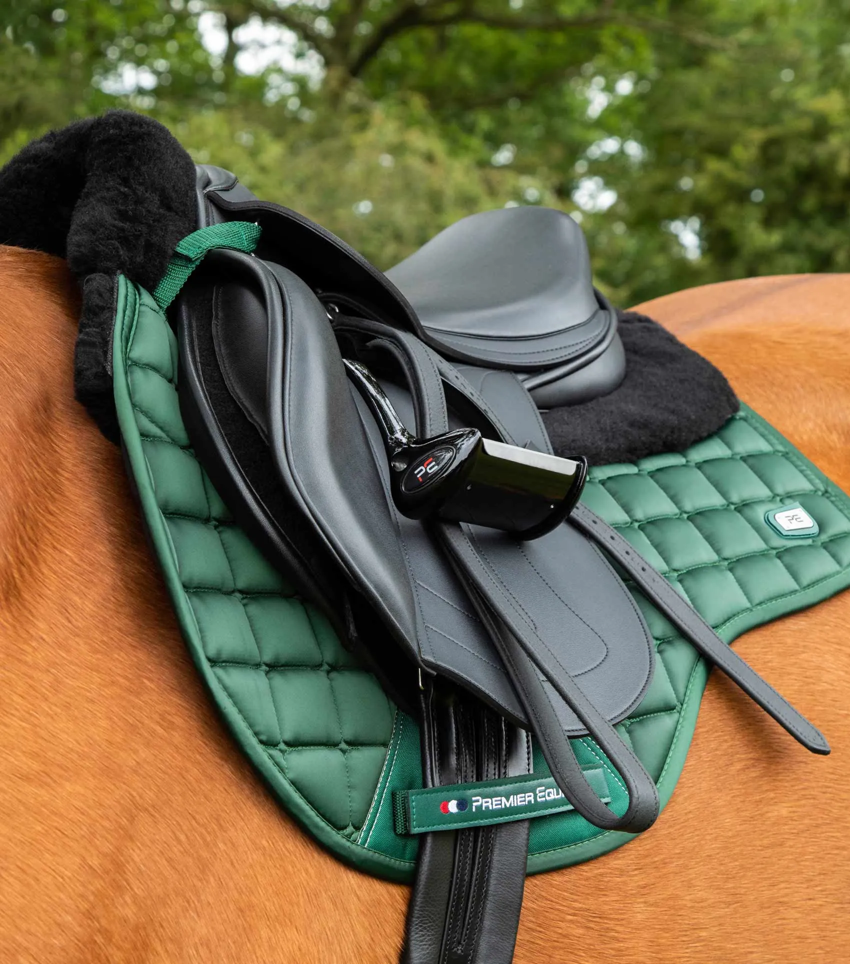 Atlantis CC Satin Wool GP/Jump Square Olive/Black Wool
