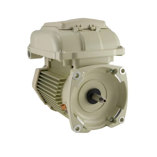 Pentair Motor Package 353132S