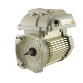 Pentair Motor Package 353132S