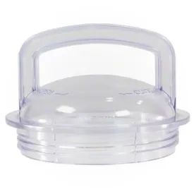 Pentair Pump Lid 355301