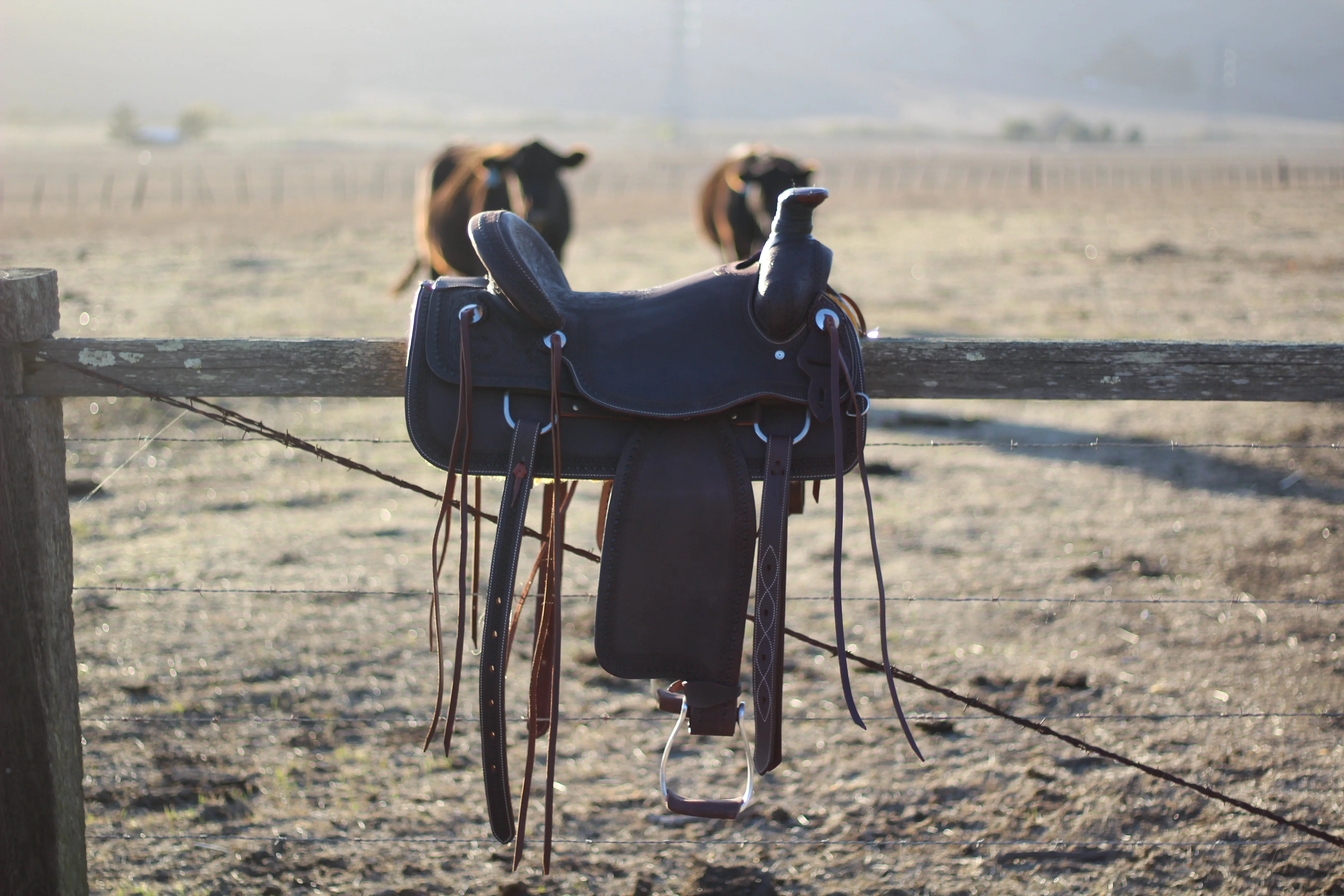The Cash Set | Saddle   Tack Gift Bundle