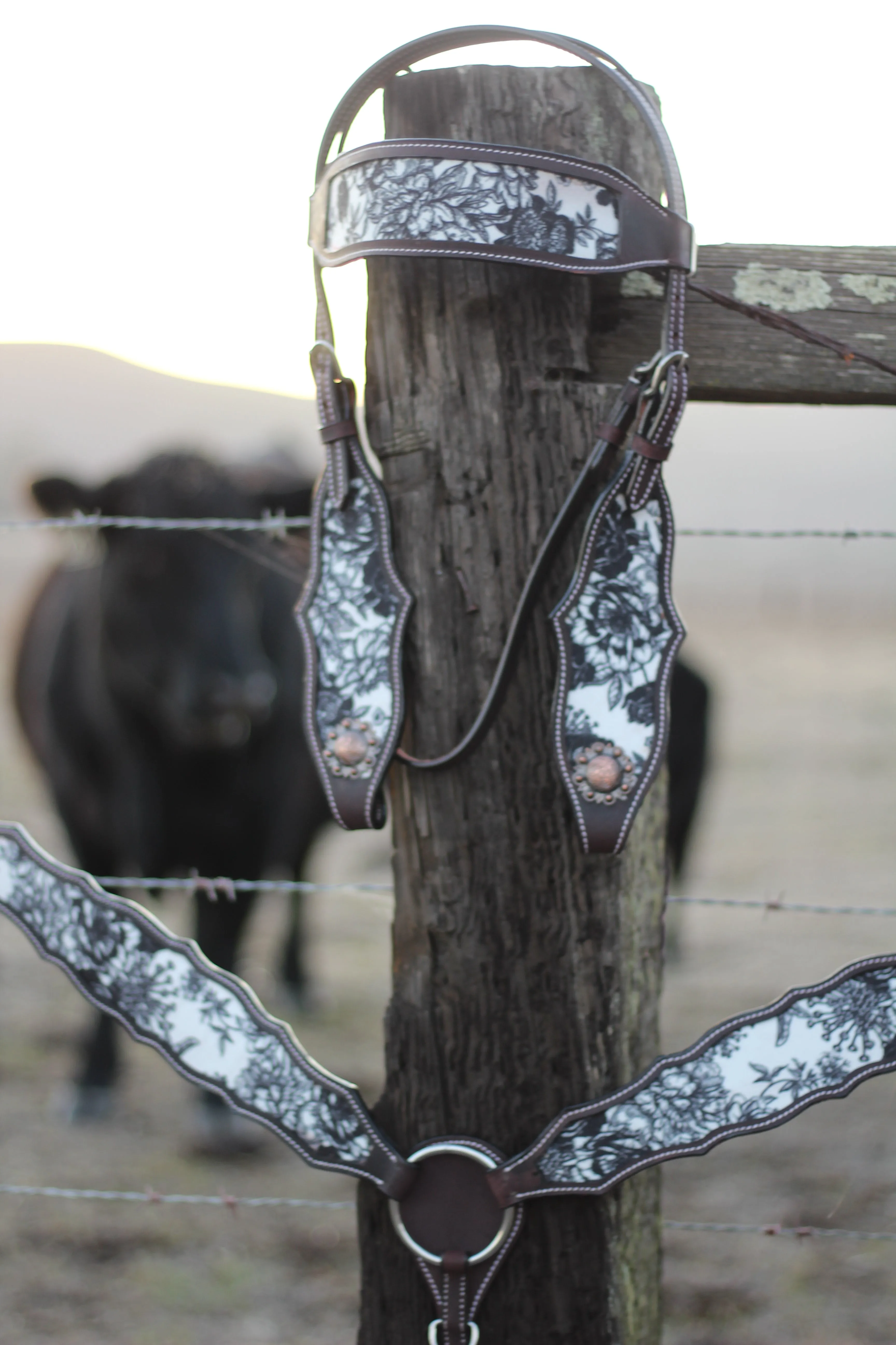 The Cash Set | Saddle   Tack Gift Bundle