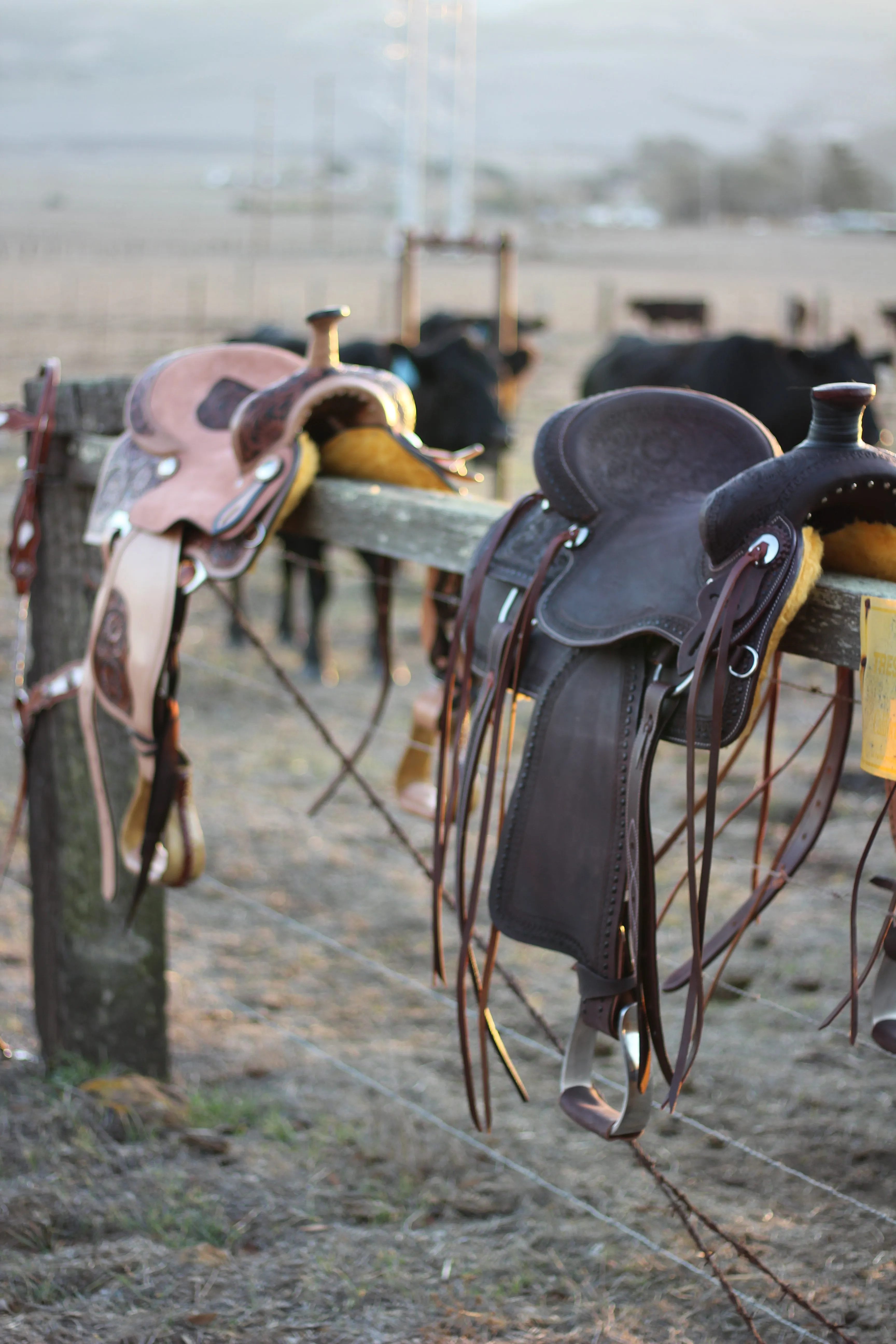 The Cash Set | Saddle   Tack Gift Bundle