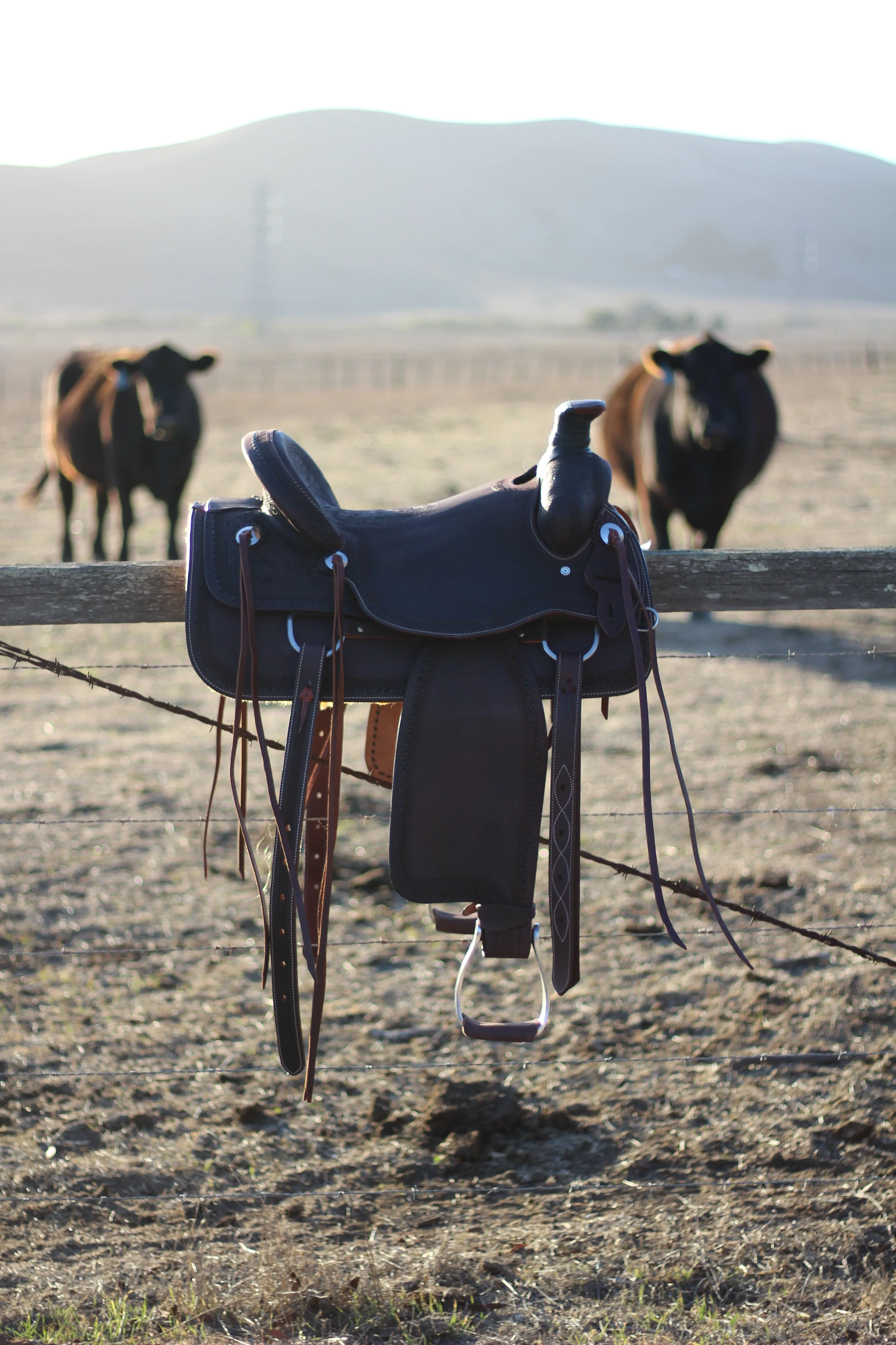 The Cash Set | Saddle   Tack Gift Bundle