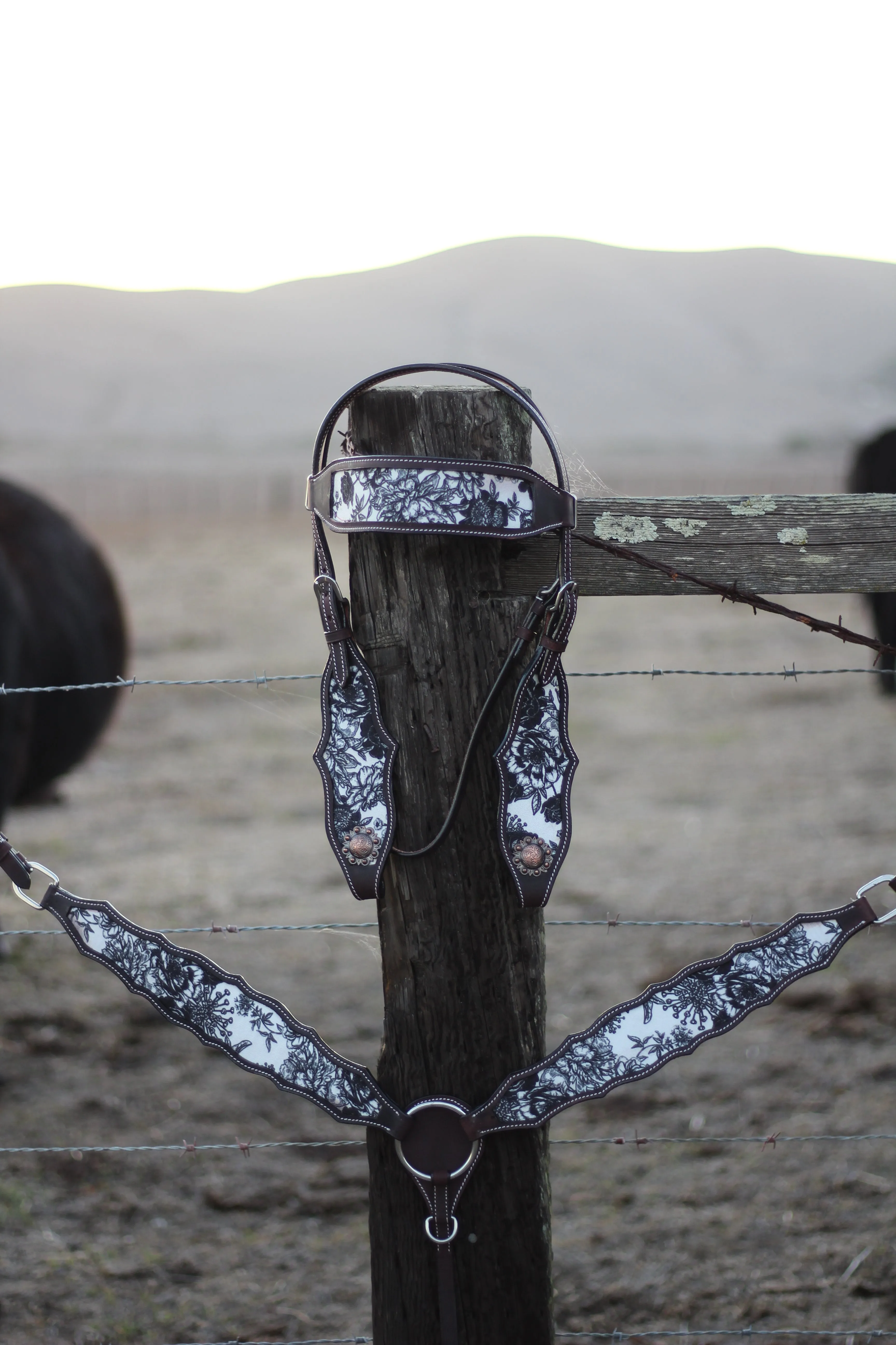 The Cash Set | Saddle   Tack Gift Bundle