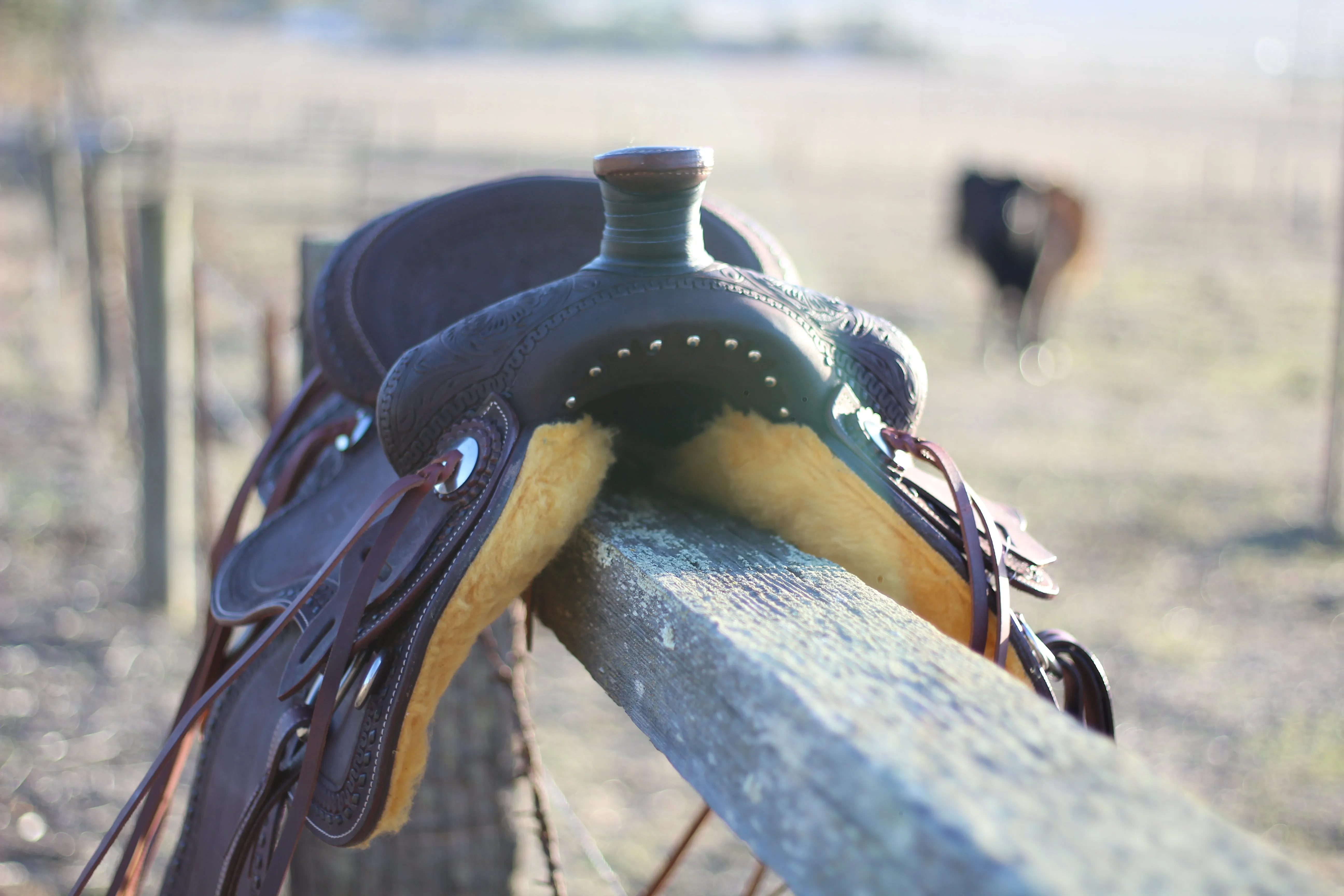 The Cash Set | Saddle   Tack Gift Bundle