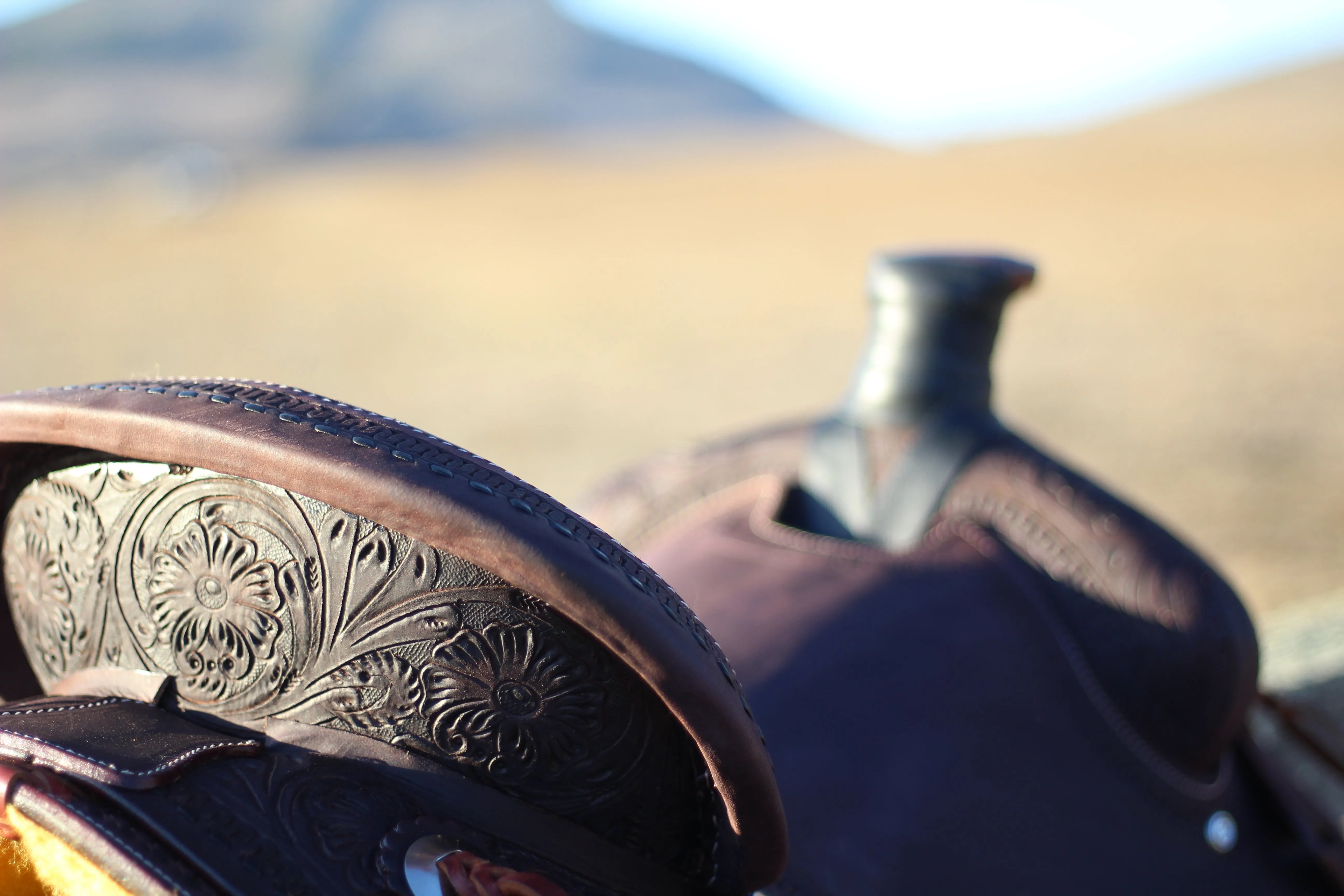 The Cash Set | Saddle   Tack Gift Bundle