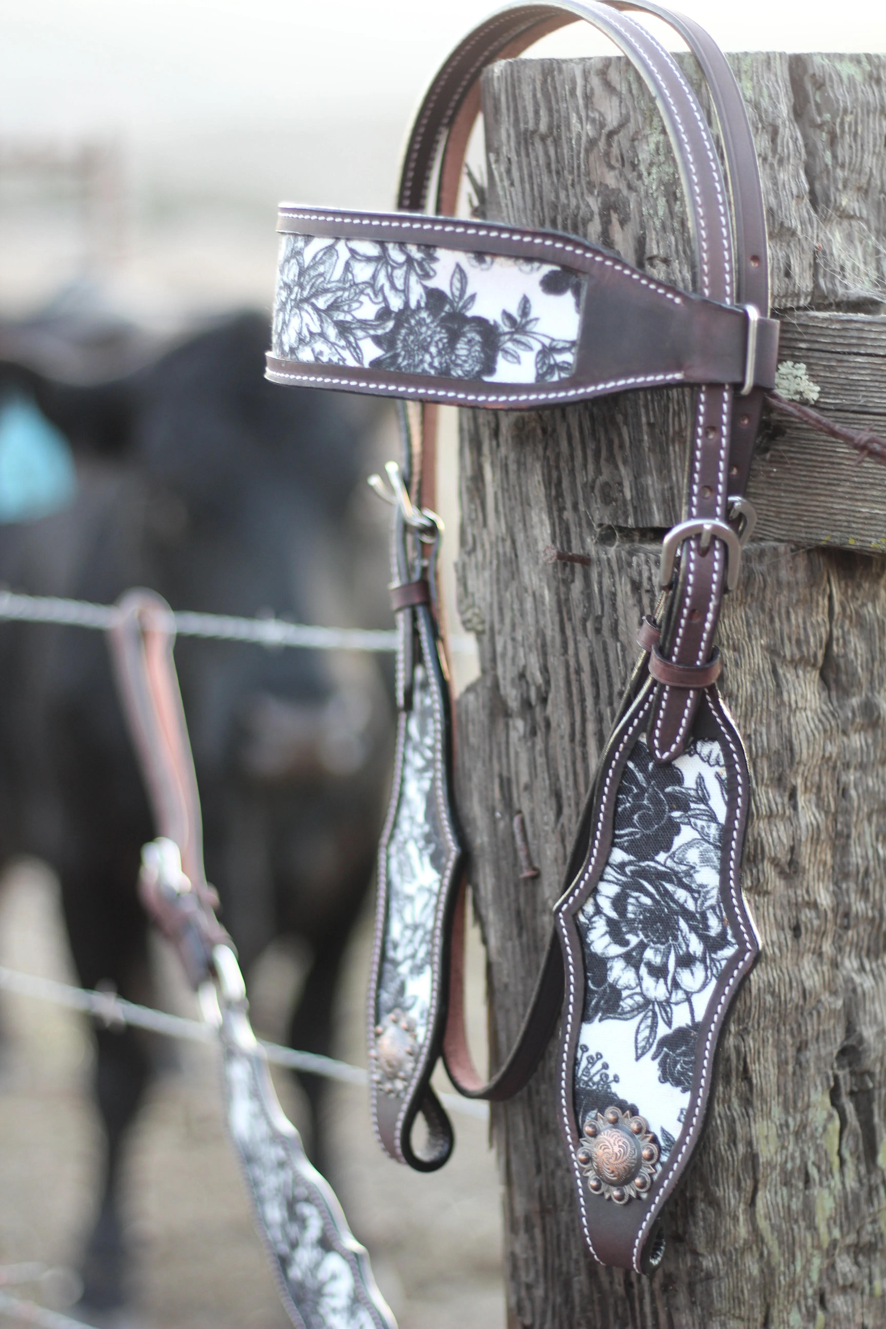 The Cash Set | Saddle   Tack Gift Bundle