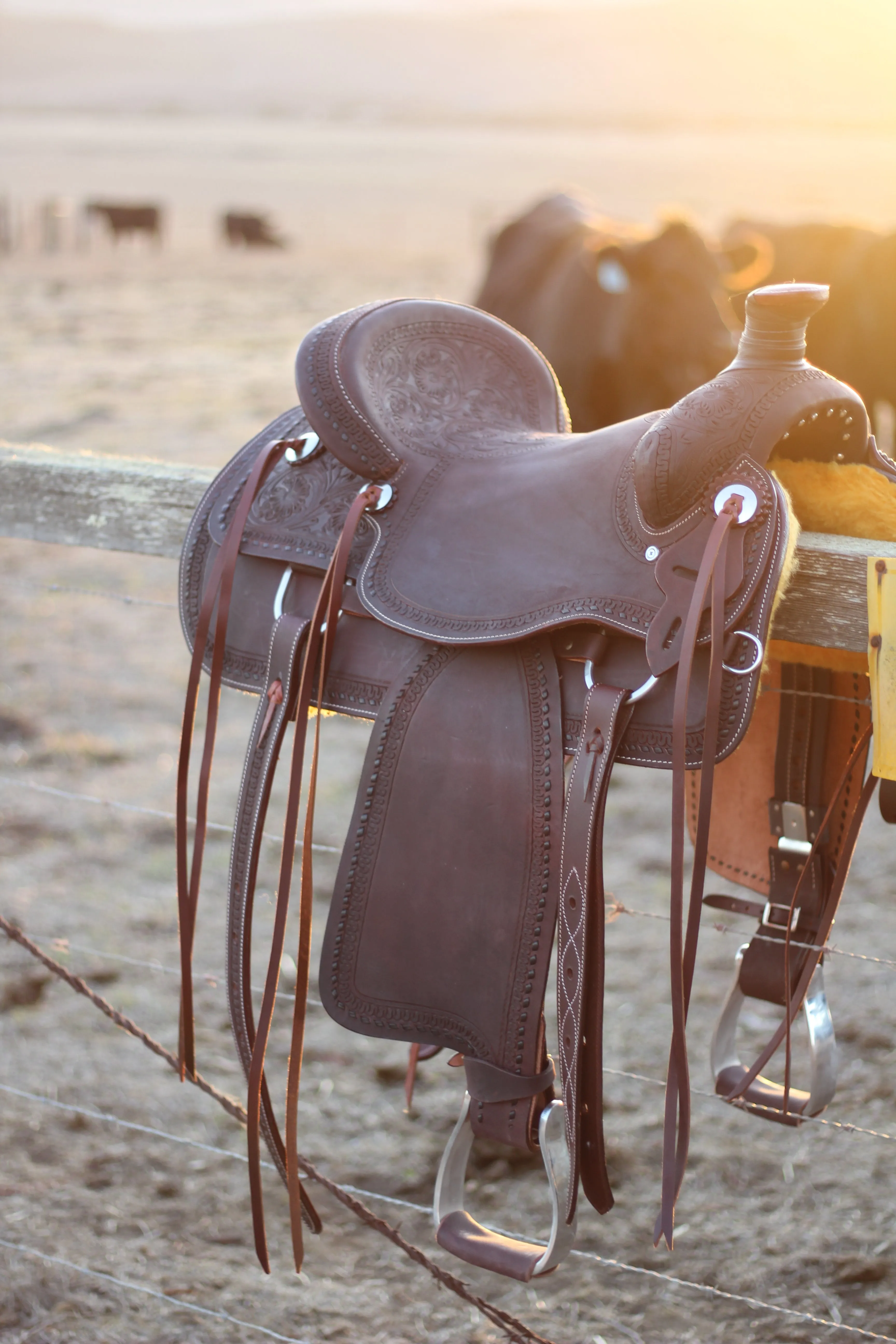 The Cash Set | Saddle   Tack Gift Bundle