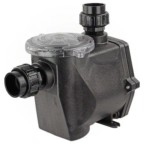 Waterway 3 HP Champion Pump Wet End 310-3100